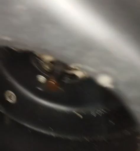 Conserto de soprador e secador na oficina da Pet Premium